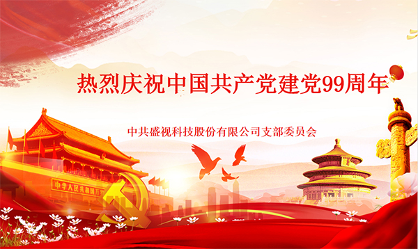 盛视党建动态|平博(中国)pingbo·官方网页版,党组织开展庆祝建党99周年主题党日活动